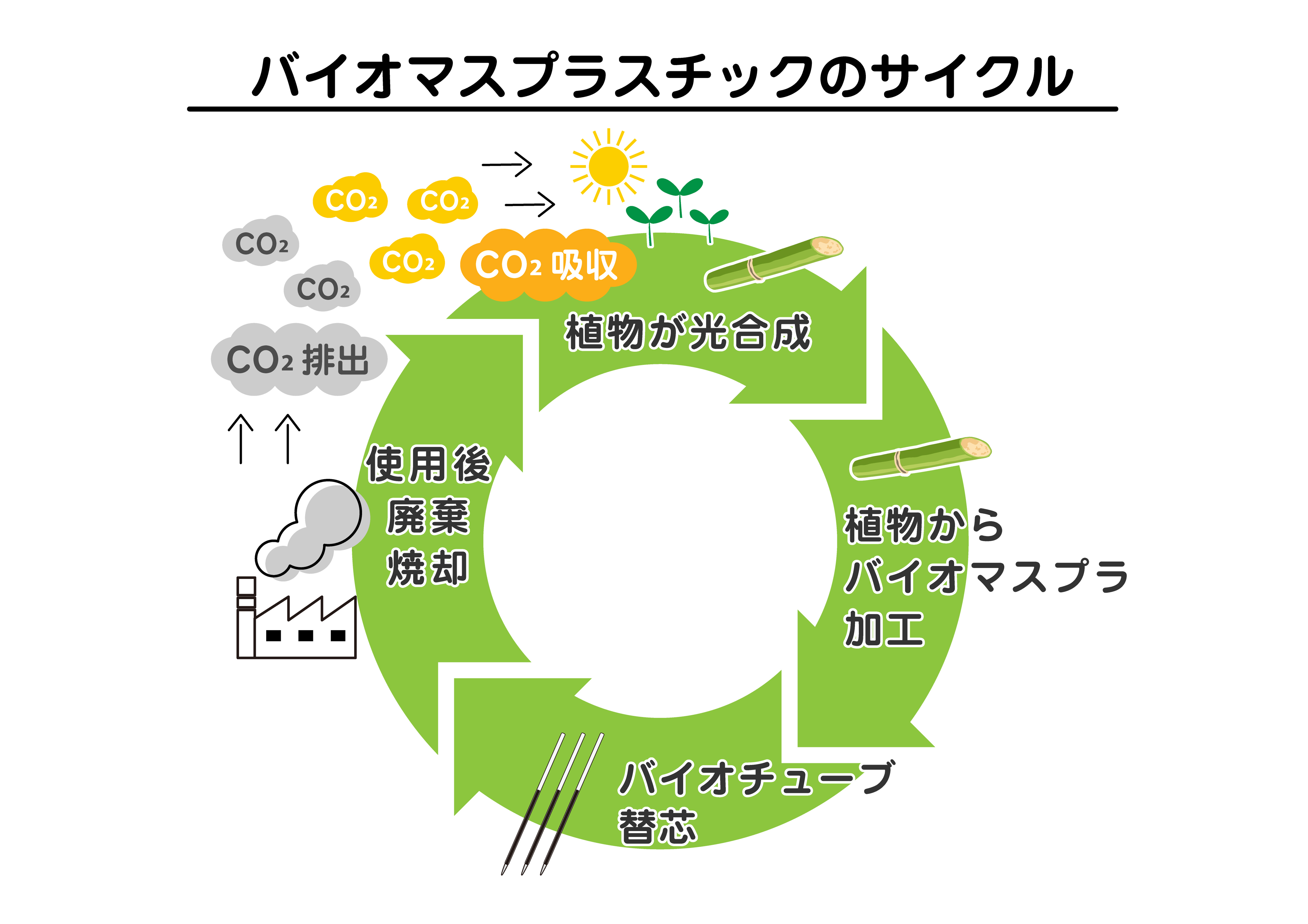 バイオマスプラスチックのサイクル